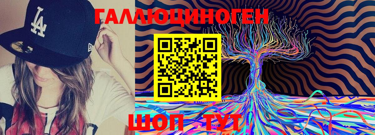 Галлюциногенные грибы Psilocybine cubensis Златоуст