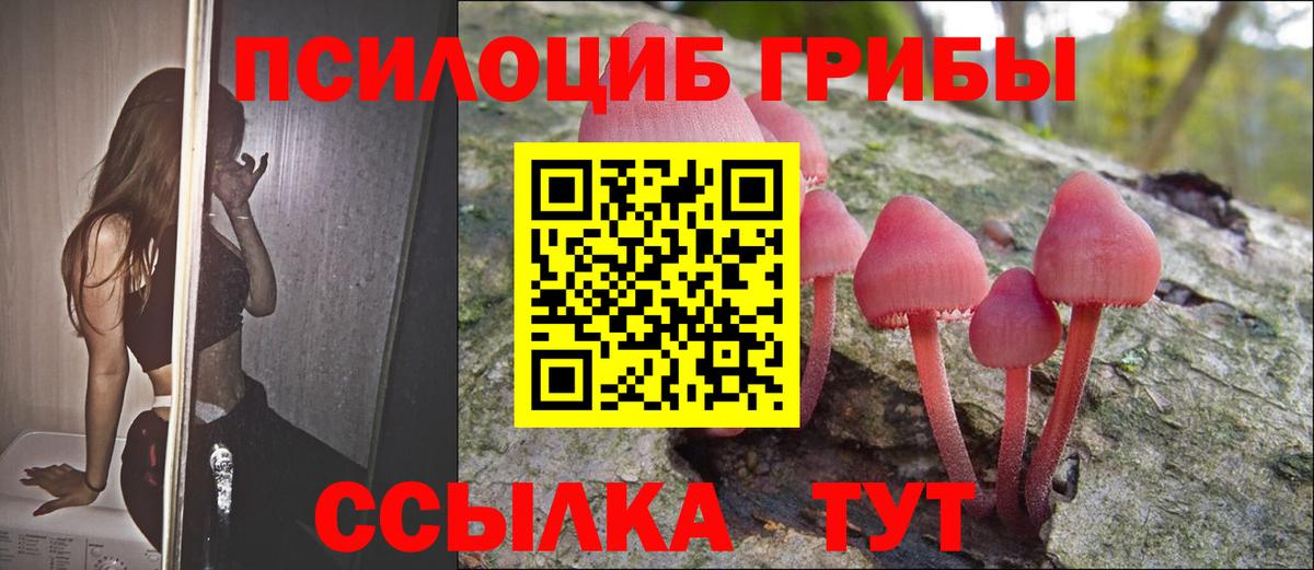 Псилоцибиновые грибы мицелий  Вход с VPN  Златоуст 
